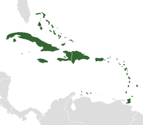 image antilles.png (16.9kB)
Lien vers: http://fr.wikipedia.org/wiki/Antilles